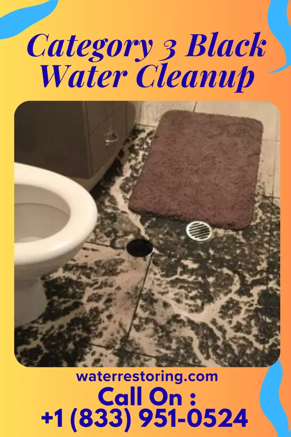 Category 3 Black Water Cleanup in Ottawa, KS