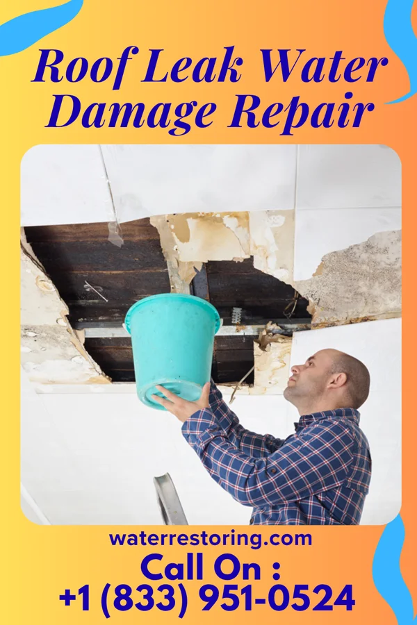 Roof Leak Water Damage Repair in Ottawa, KS