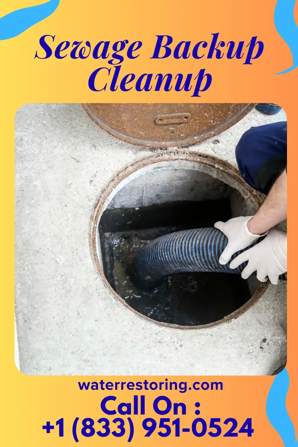 Sewage Backup Cleanup in Ottawa, KS